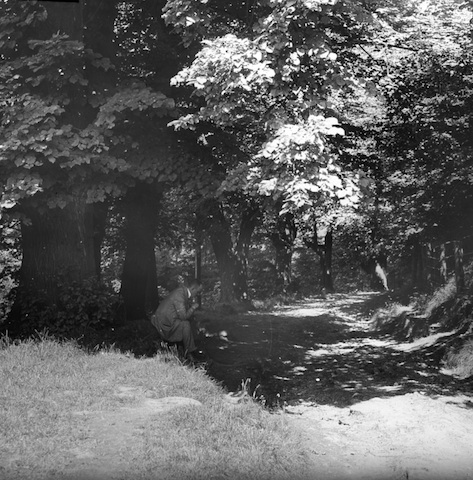 R12b015 Scharfenberg Wald 