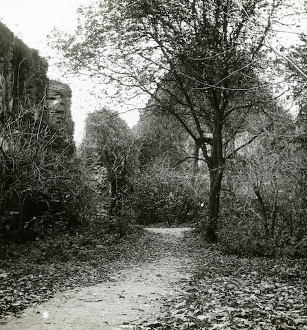 R251082 Kloster Nimbschen 