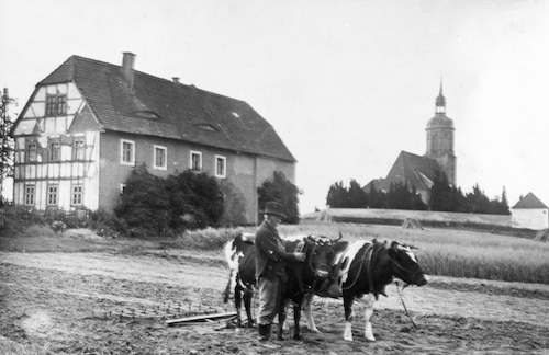 R35 Lommatzscher Pflege001 Bloßwitz 