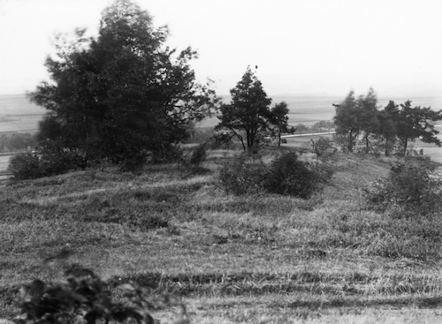 AR36049 Steinberg bei Seifersdorf 