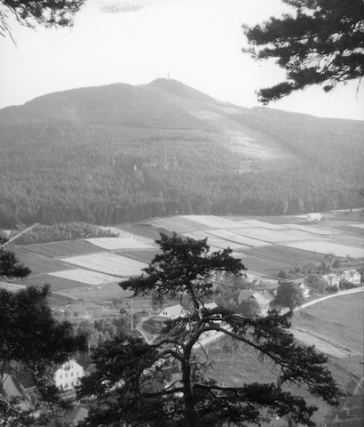 AR36069 Hochwald vom Oybin 