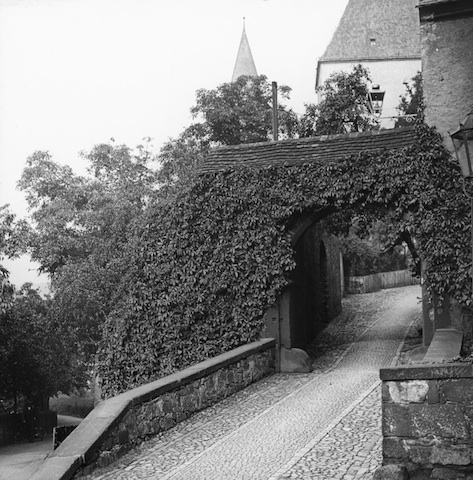 R32029 Rochlitz Eingang zum Schloß 