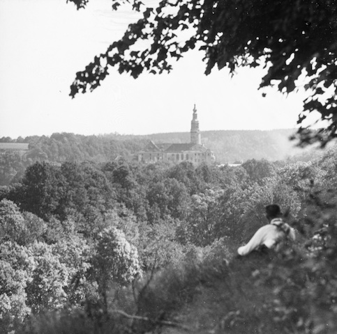 R70044 Weesenstein Blick n d Schloß v Eichwege aus 