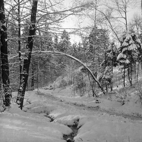 R71002 Bärenburg Winterbild II 