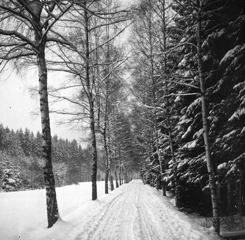 R71025 Seerenbachtal bei Tharandt 